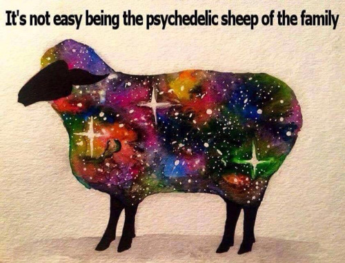 psychedelic_sheep